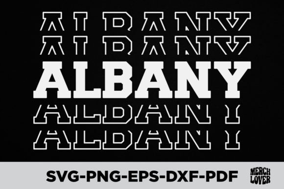 Patriotic USA State Albany T-Shirt Graphics